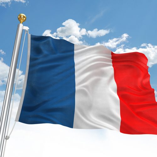 【特許・意匠ニュース】日本ーフランス間のPPH MOTTAINAI及びPCT-PPHが2023年7月1日から開始
