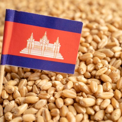 【商標ニュース】 カンボジア、地理的表示に関する公式データベースが登場