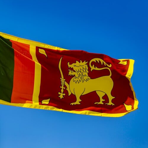 スリランカ、知財情報のオンライン検索プラットフォームを公開 ― 商標・特許・意匠データを無料で検索可能に